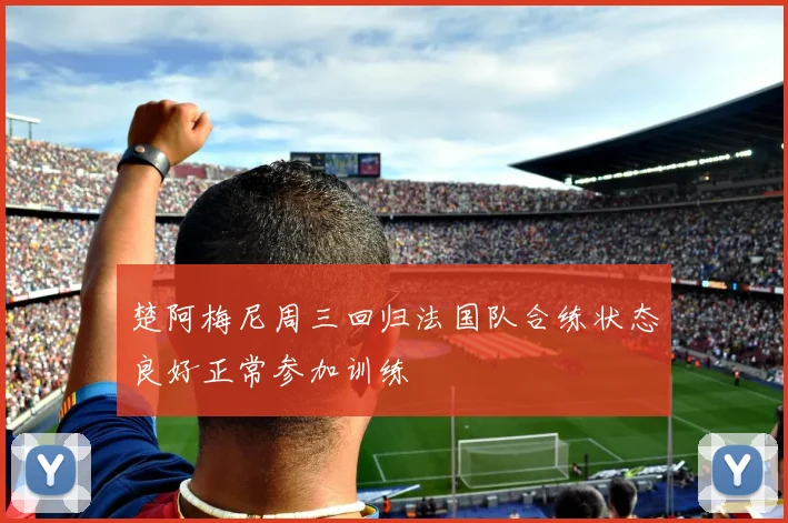 楚阿梅尼周三回归法国队合练状态良好正常参加训练